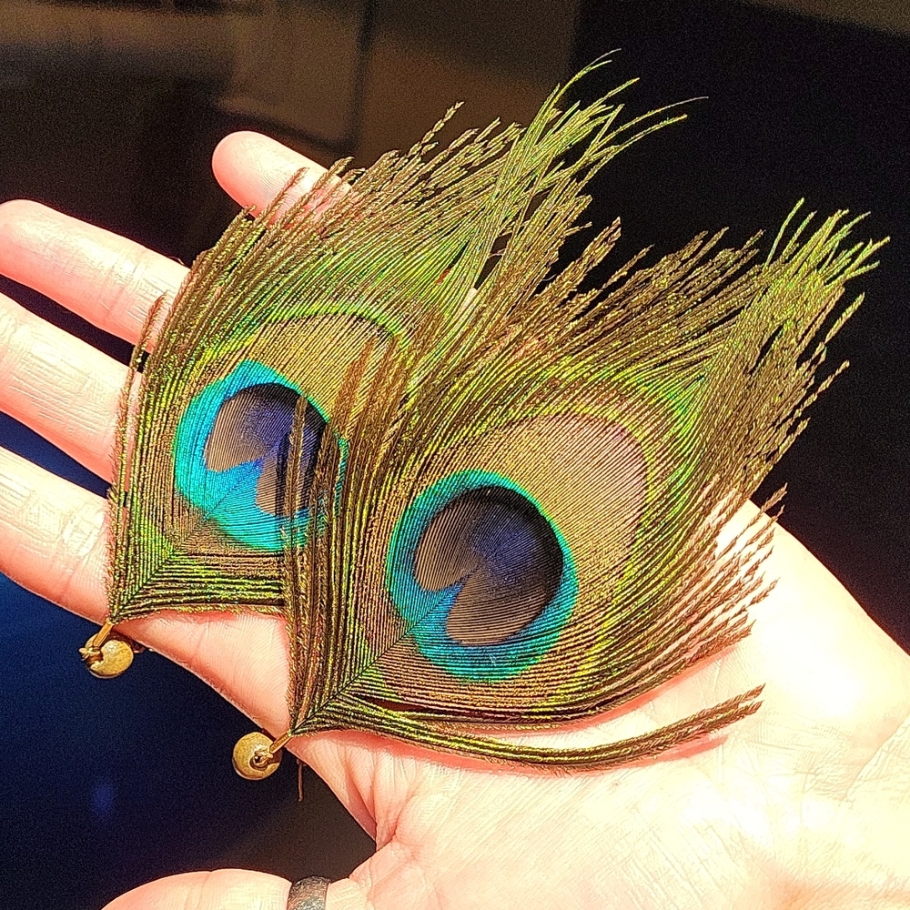 Peacock feather earrings